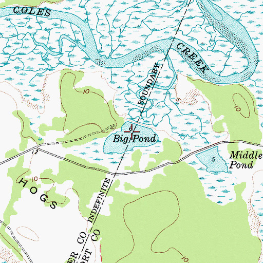 Topographic Map of Big Pond, SC