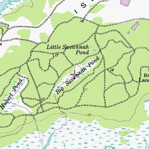 Topographic Map of Big Savannah Pond, SC