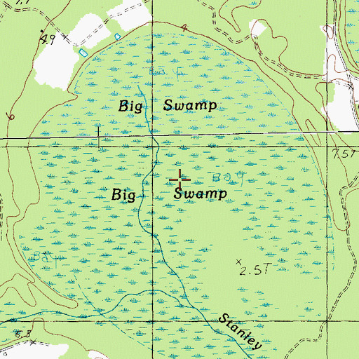 Topographic Map of Big Swamp, SC
