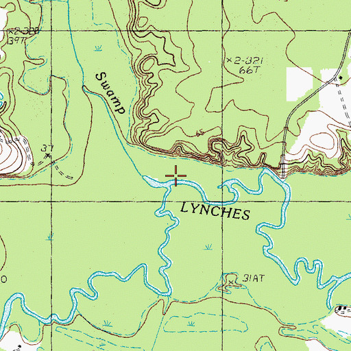 Topographic Map of Big Swamp Branch, SC