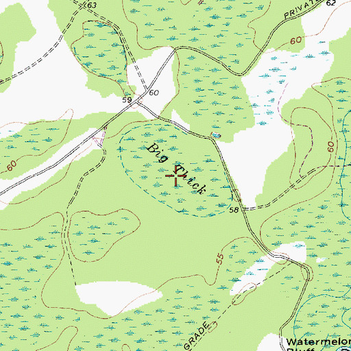 Topographic Map of Big Thick, SC