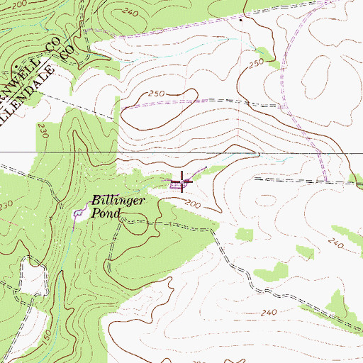 Topographic Map of Billinger Pond, SC