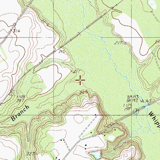 Topographic Map of Bings Branch, SC