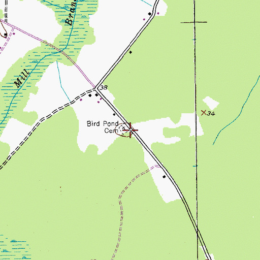 Topographic Map of Bird Pond Cemetery, SC