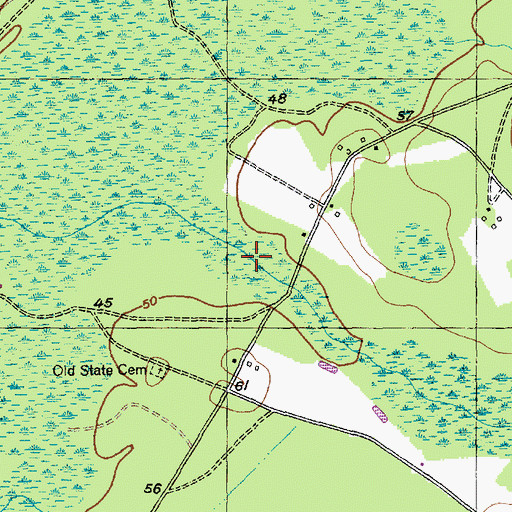 Topographic Map of Black Creek, SC