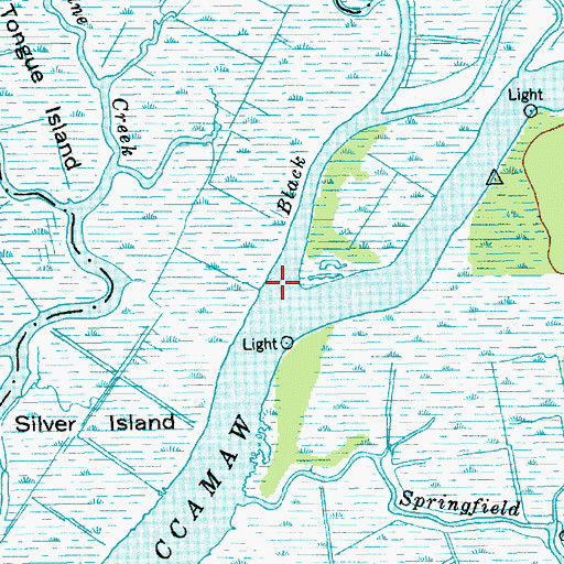 Topographic Map of Black Creek, SC