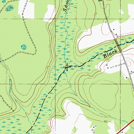 Topographic Map of Black Creek, SC
