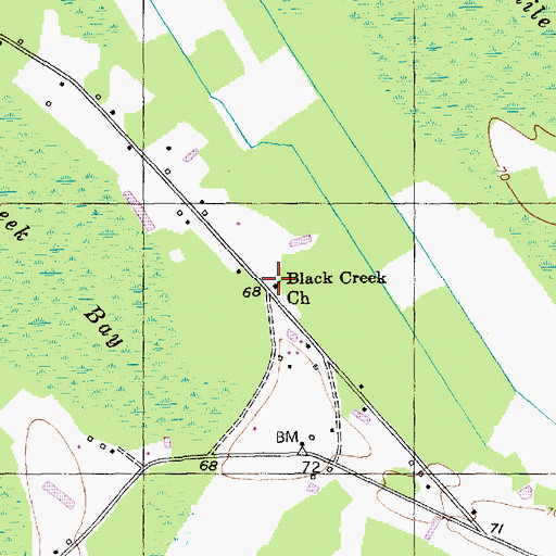 Topographic Map of Black Creek Church, SC