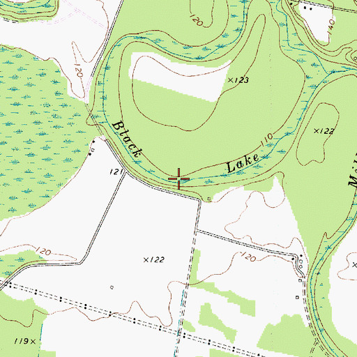 Topographic Map of Black Lake, SC