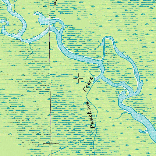 Topographic Map of Black River Swamp, SC