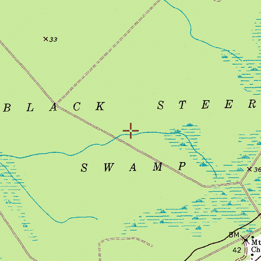 Topographic Map of Black Steer Swamp, SC