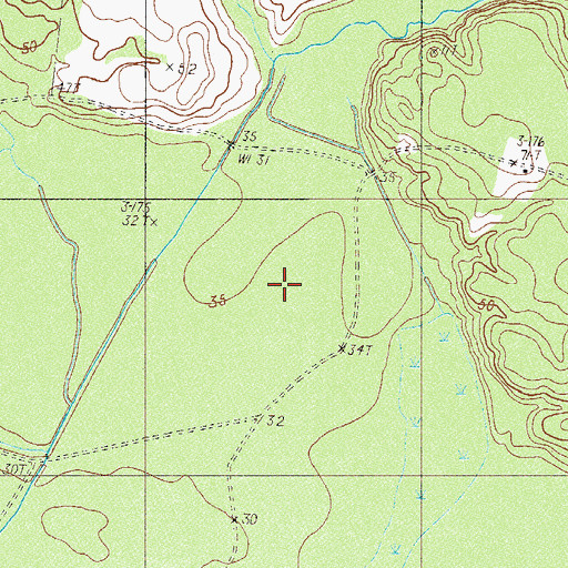 Topographic Map of Black Swamp, SC
