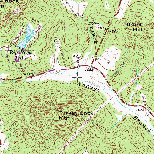Topographic Map of Blacks Branch, SC