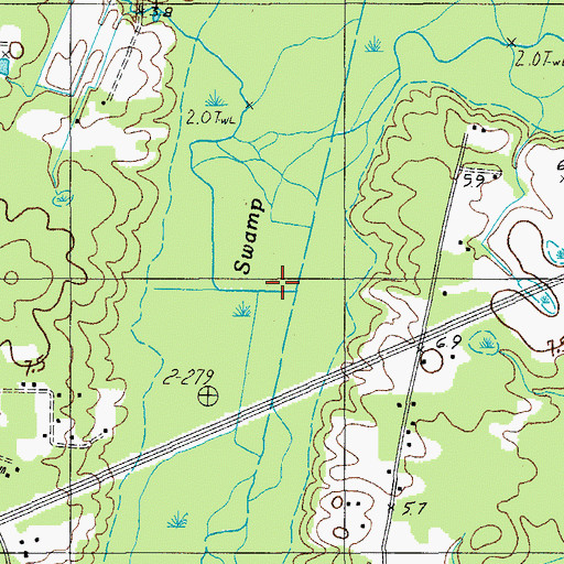 Topographic Map of Bluehouse Swamp, SC