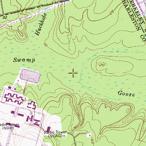 Topographic Map of Bluehouse Swamp, SC
