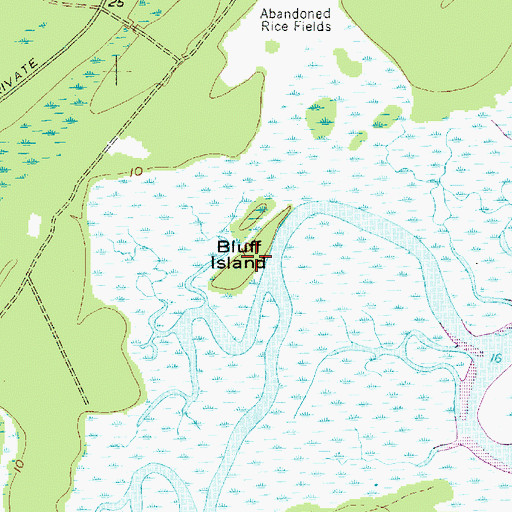 Topographic Map of Bluff Island, SC