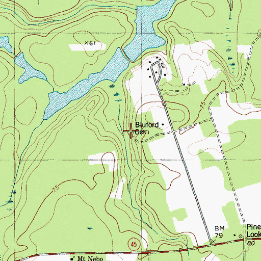 Topographic Map of Bluford Cemetery, SC