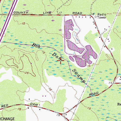 Topographic Map of Bob Dam Swamp, SC