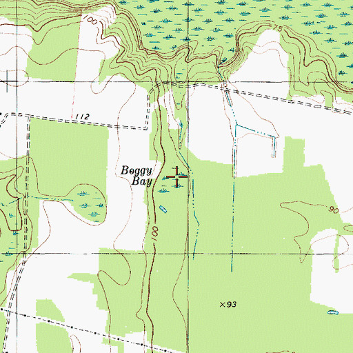 Topographic Map of Boggy Bay, SC