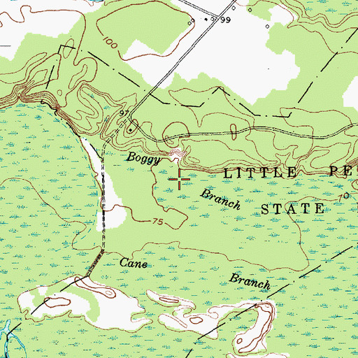 Topographic Map of Boggy Branch, SC