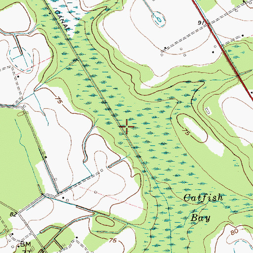 Topographic Map of Boggy Branch, SC