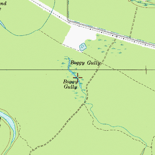 Topographic Map of Boggy Gully, SC
