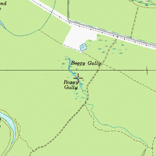 Topographic Map of Boggy Gully, SC
