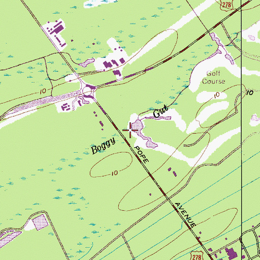 Topographic Map of White Ibis Pond, SC