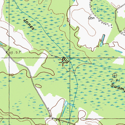 Topographic Map of Boggy Swamp, SC
