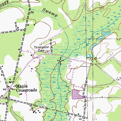 Topographic Map of Boggy Swamp, SC