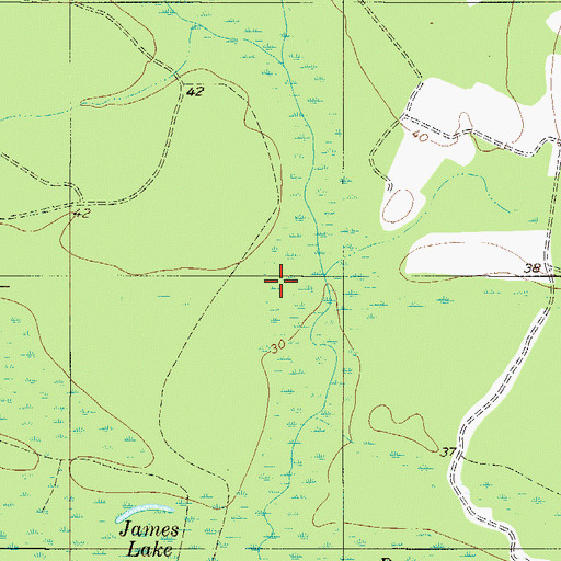 Topographic Map of Boggy Swamp, SC
