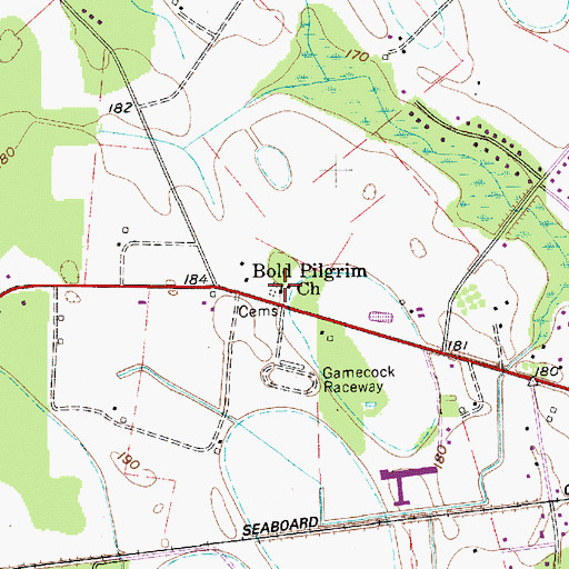 Topographic Map of Bold Pilgrim Church, SC