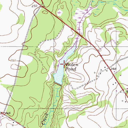 Topographic Map of Bolen Pond, SC
