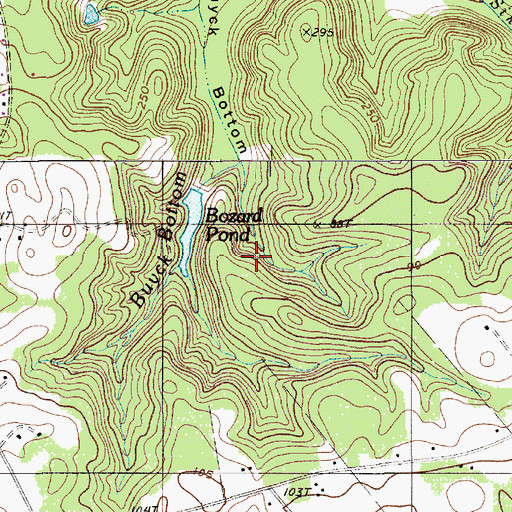 Topographic Map of Bozard Pond, SC