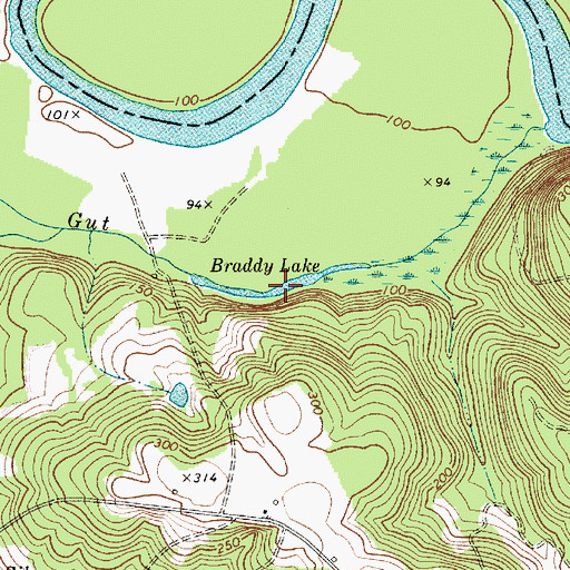 Topographic Map of Braddy Lake, SC