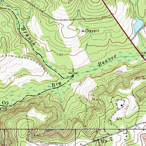 Topographic Map of Branham Branch, SC