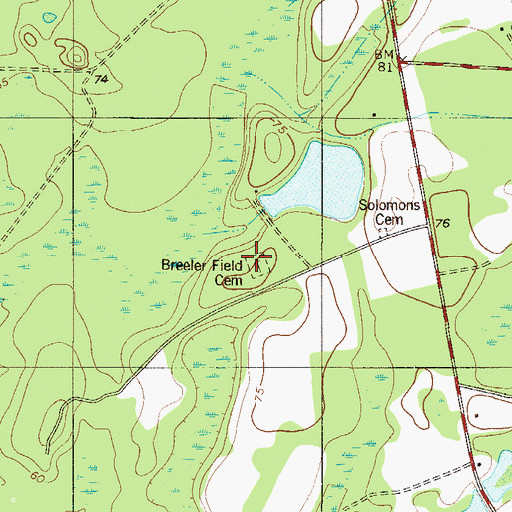 Topographic Map of Breeler Field Cemetery, SC