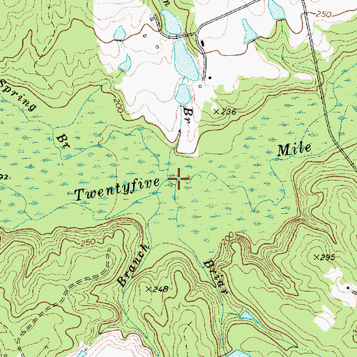 Topographic Map of Briar Branch, SC