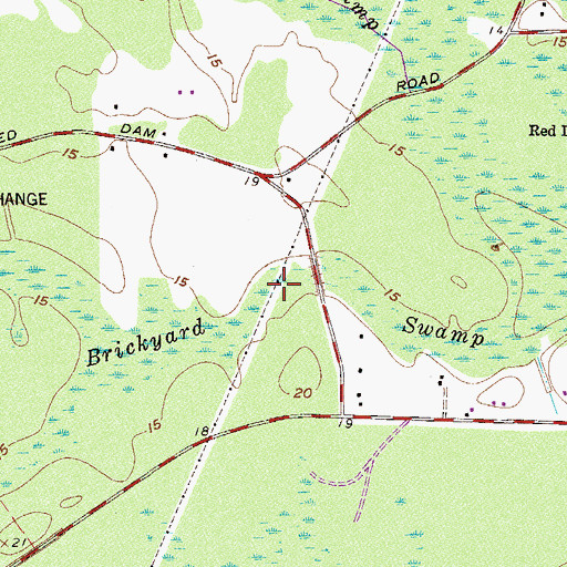 Topographic Map of Brickyard Swamp, SC