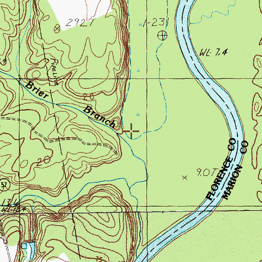 Topographic Map of Brier Branch, SC