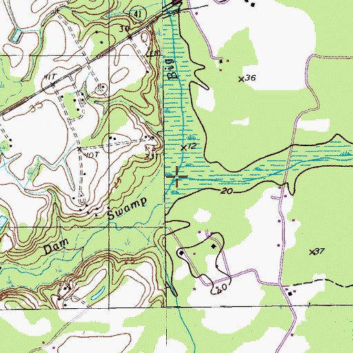 Topographic Map of Brightman Swamp, SC