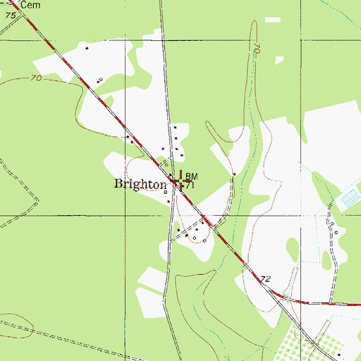 Topographic Map of Brighton, SC
