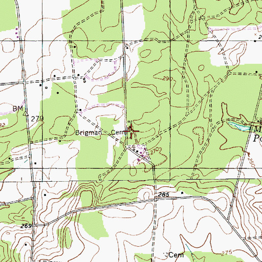 Topographic Map of Brigman Cemetery, SC