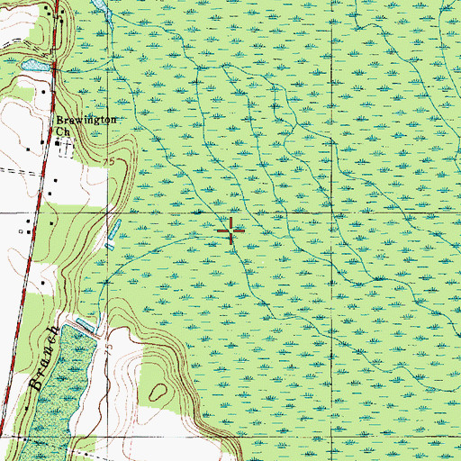 Topographic Map of Broad Branch, SC