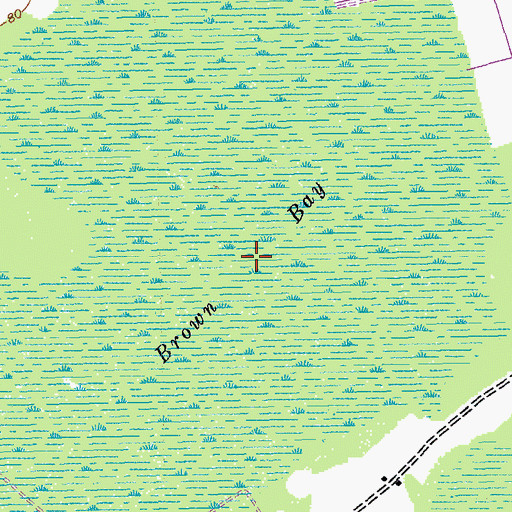Topographic Map of Brown Bay, SC