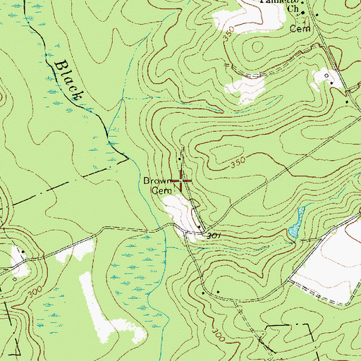 Topographic Map of Brown Cemetery, SC