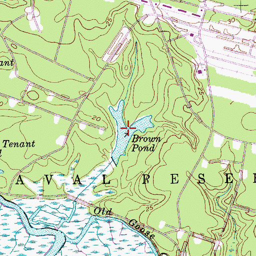 Topographic Map of Brown Pond, SC