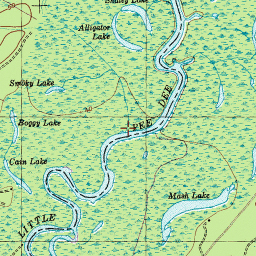 Topographic Map of Brown Swamp, SC