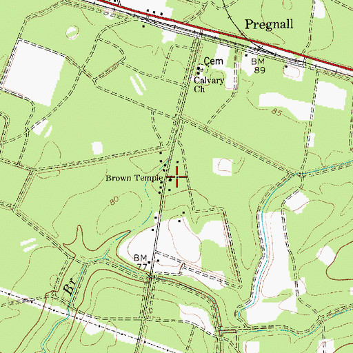 Topographic Map of Brown Temple, SC