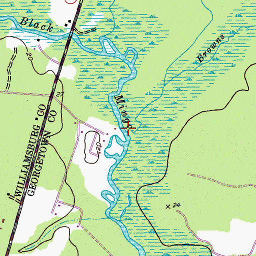 Topographic Map of Browns Branch, SC